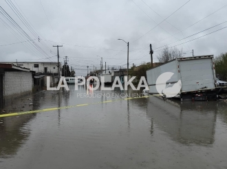 Bachesotes y Cenotes