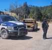 Toponcillo en la Sierra