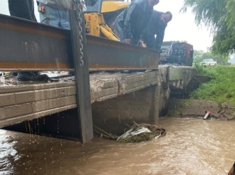 Hartos de Parásitos