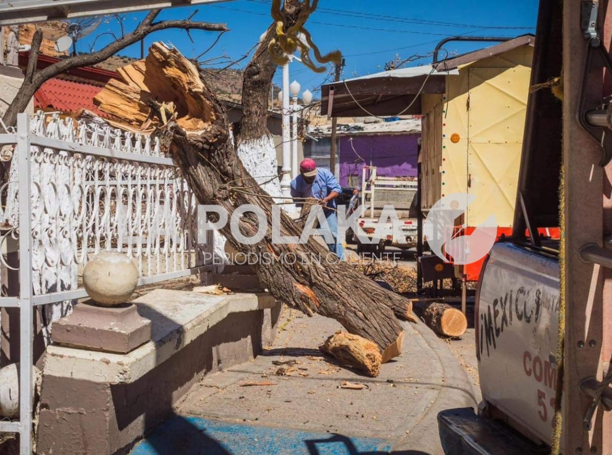 Mal Pex en Todo Chihuahua