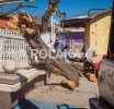 Mal Pex en Todo Chihuahua