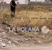En Chihuahua Caben Todas
