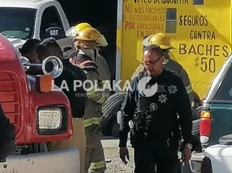 Gallitos al Pastor