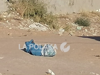 Otros Efectos del Calor