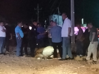 Consternación Por El Caballo