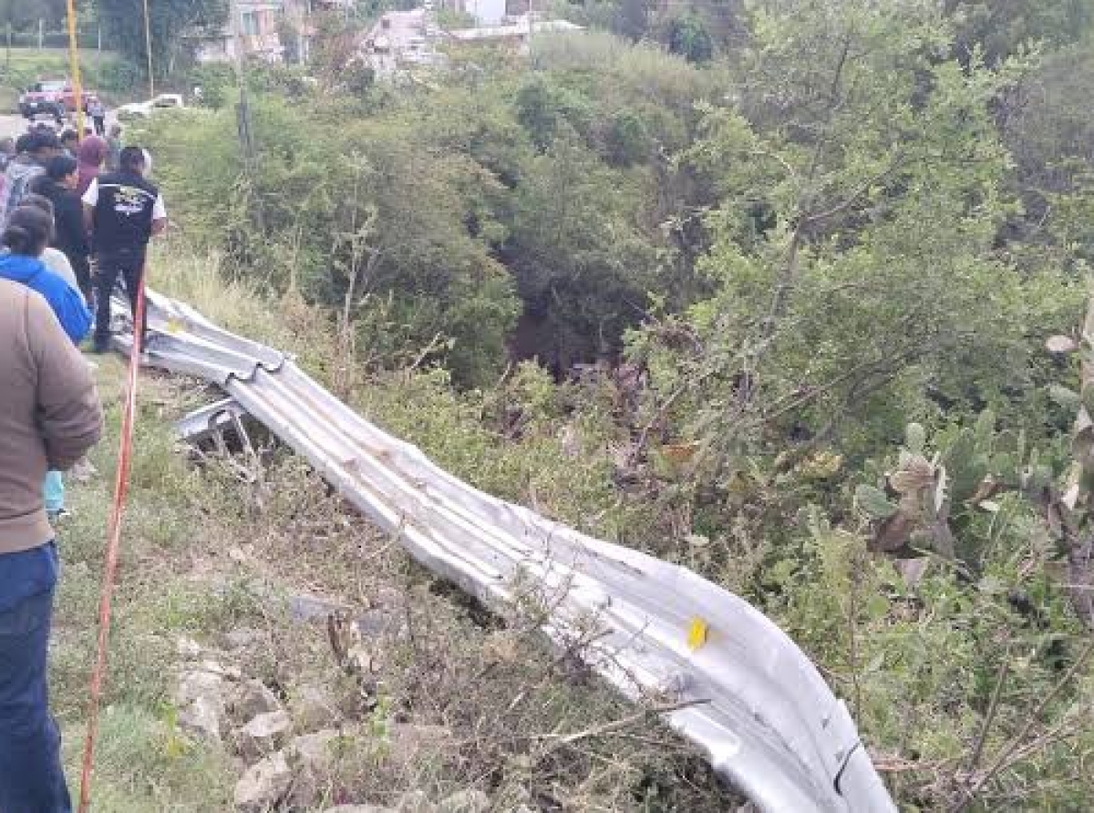 Cayó Por Asomarse