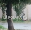 Los Primeros 70