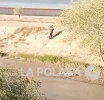 Otro Crimen Sexual