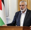 Boquete a Guerrilla Palestina