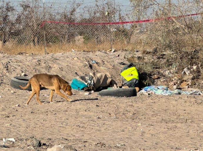 Cartulina con Perro (Oleo Sobre Tela)