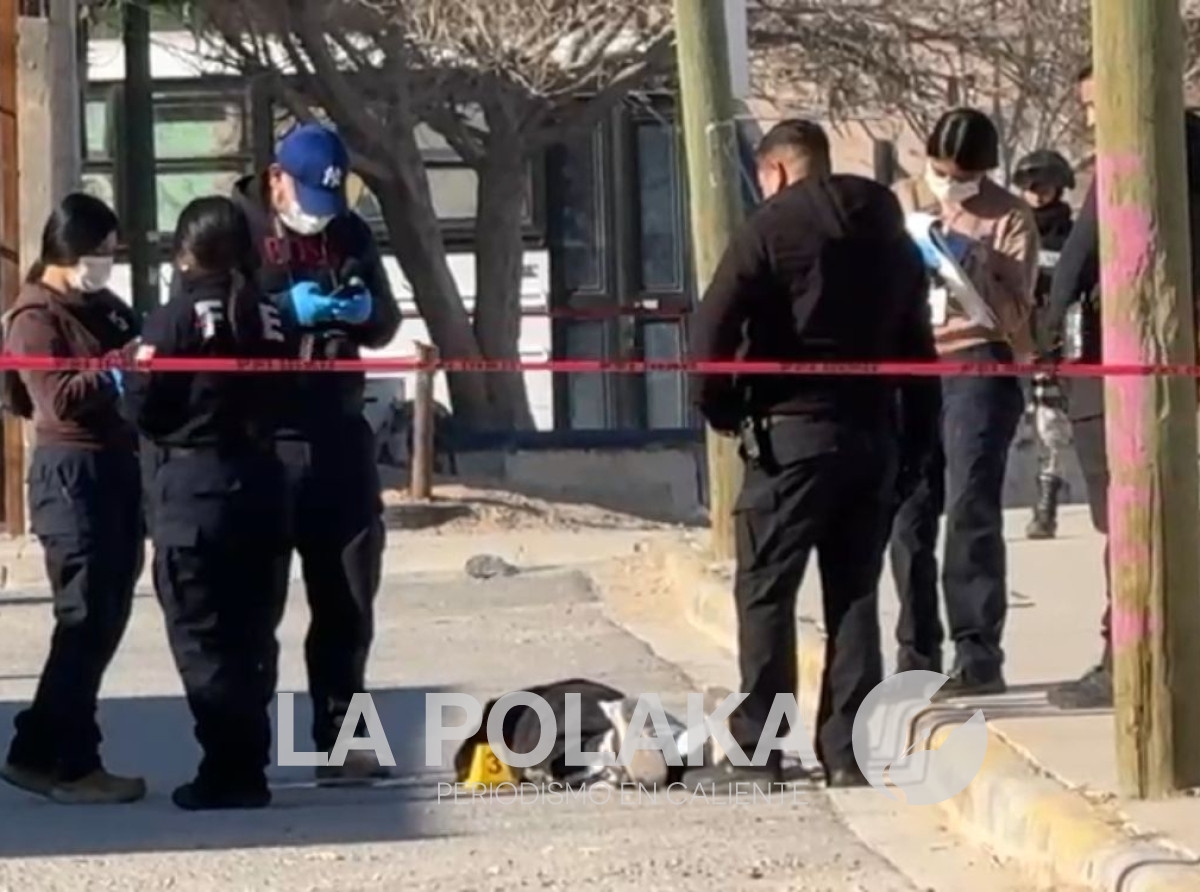 Barrido de Testigos