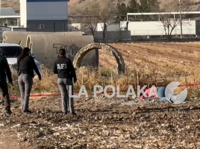 Escala Exterminio a Terroristas