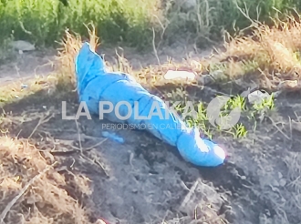 Envoltorio Color Cielo