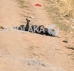 La Calor en Marulandia