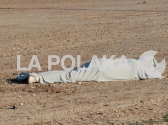 Biker De Tenis Blancos