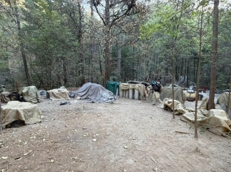 (Pueden Irse Bajando los Calzones)