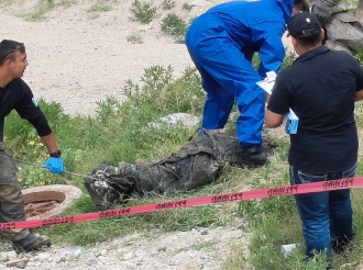 NarcoTerrorismo en JMAS